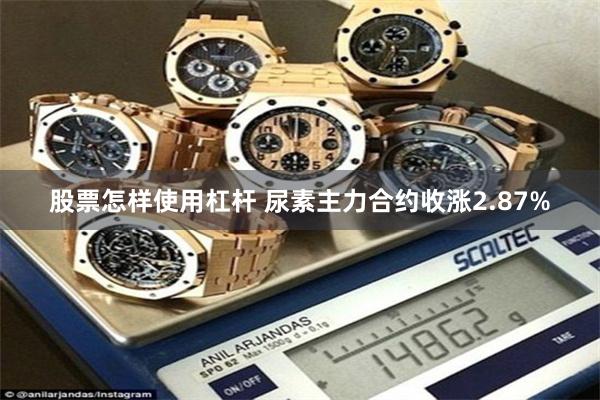股票怎样使用杠杆 尿素主力合约收涨2.87%
