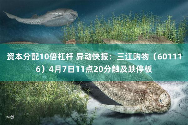 资本分配10倍杠杆 异动快报：三江购物（601116）4月7日11点20分触及跌停板