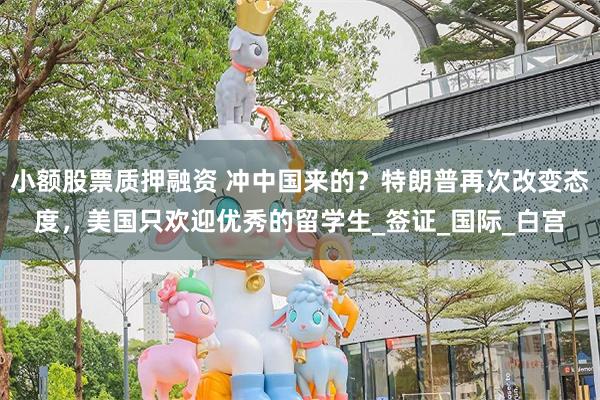 小额股票质押融资 冲中国来的？特朗普再次改变态度，美国只欢迎优秀的留学生_签证_国际_白宫