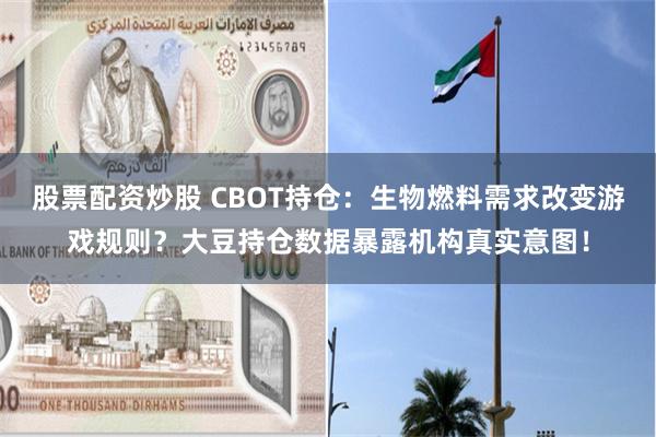 股票配资炒股 CBOT持仓：生物燃料需求改变游戏规则？大豆持仓数据暴露机构真实意图！